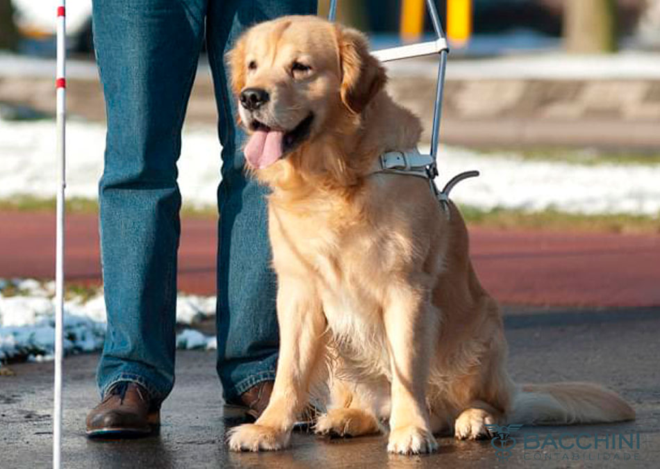 Comissão aprova isenção de IR para a compra de cão de assistência